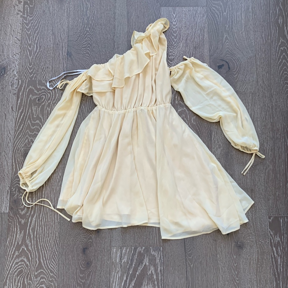 Michael Costello x Revolve Everett mini dress